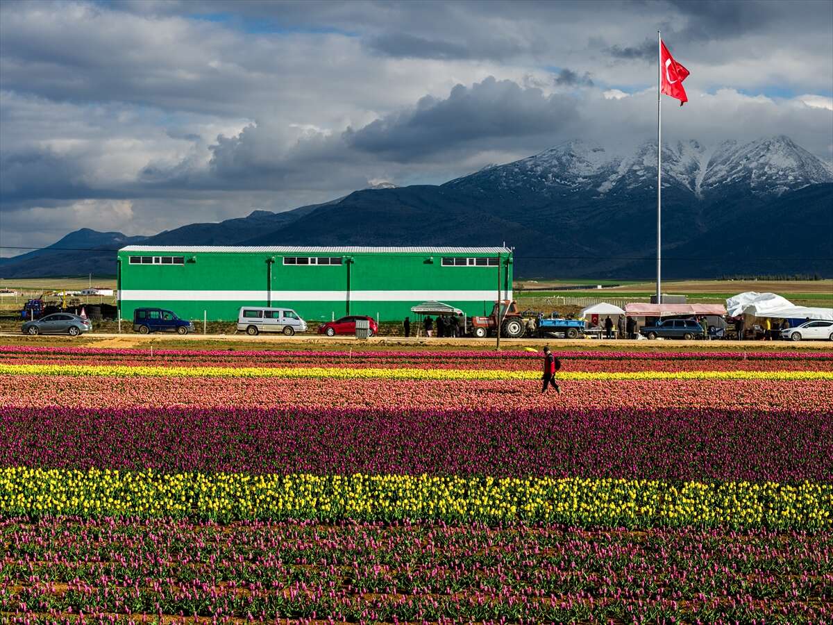 Konya’dan günübirlik kaçanlar çok! Ünlü lale cenneti ziyaretçilerini bekliyor 13